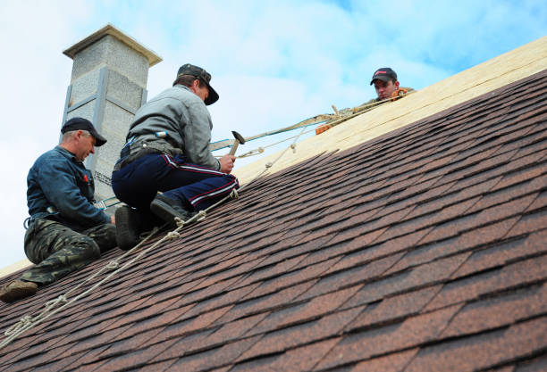 Best Storm Damage Roof Repair  in Marlinton, WV